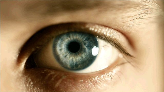 File:Fain.png