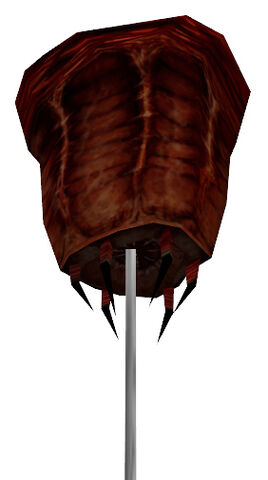 Archivo:Barnacle HL1.jpg