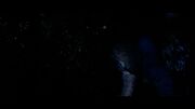 Lester's death