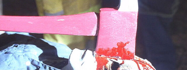 File:Axe end 7.jpg