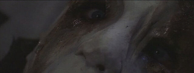 File:Axe end 4.jpg