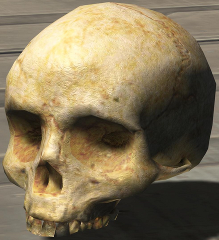File:Calavera H3.png