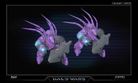 HW hunters