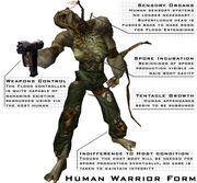 Human.jpg
