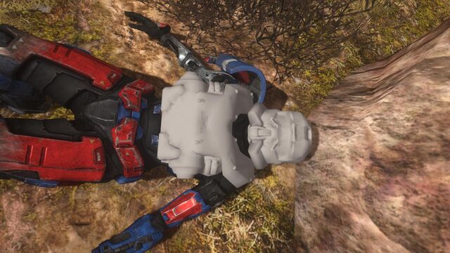 File:SWAT -Halo- Reach glitch-.jpg