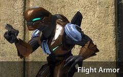 Volo