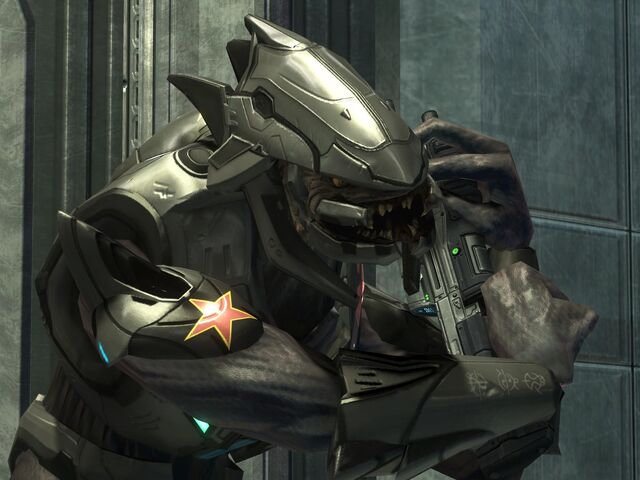 File:1219638428 46912902-Full.jpg