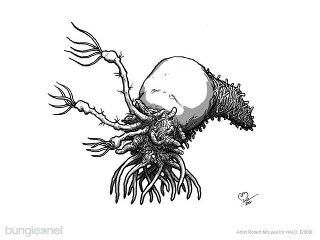 File:HCE-infection form.jpg