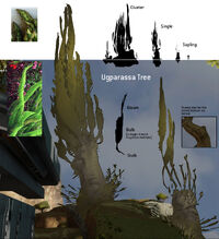 H4 Concept UgparassaTree