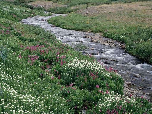 File:Creek5.jpg