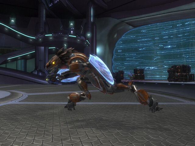 File:Champion run.jpg