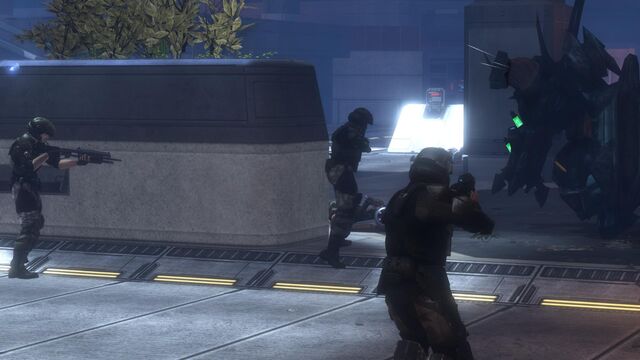 File:Tayari Plaza Marines.jpg