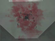Megg.png
