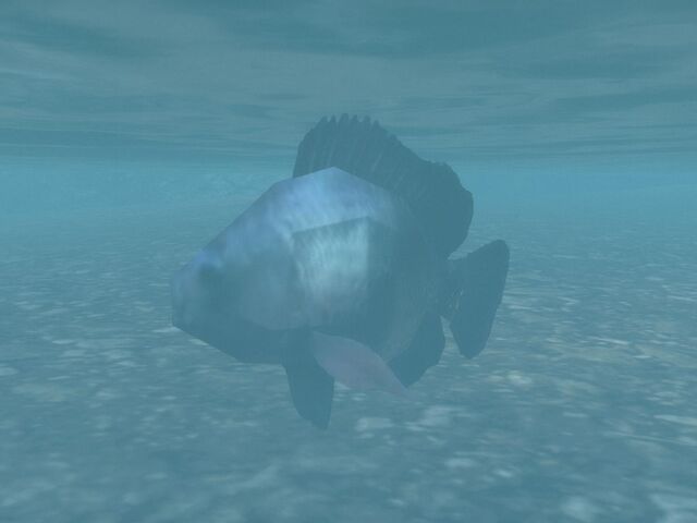 File:Reach 22921282 Full.jpg