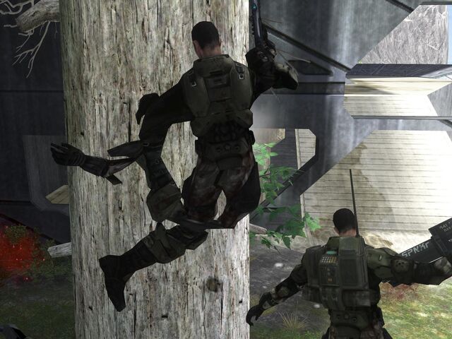 File:Marine glitch.jpg