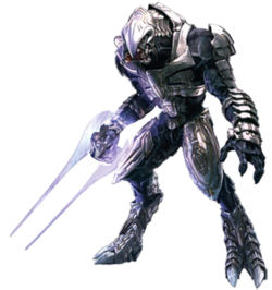 Ripa 'Moramee.png
