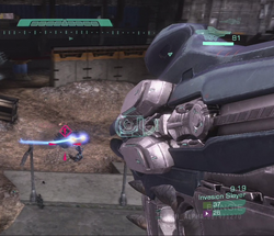 Cannone covenant