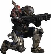 Emile-239