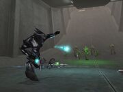 Catch.jpg