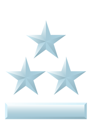 File:Colonel Grade Two.png