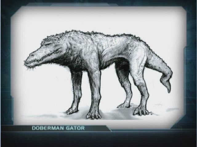 File:DobermanGator.jpg