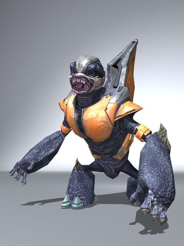 File:Grunt.jpg
