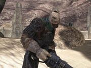 800px-Brute Halo 3.jpg