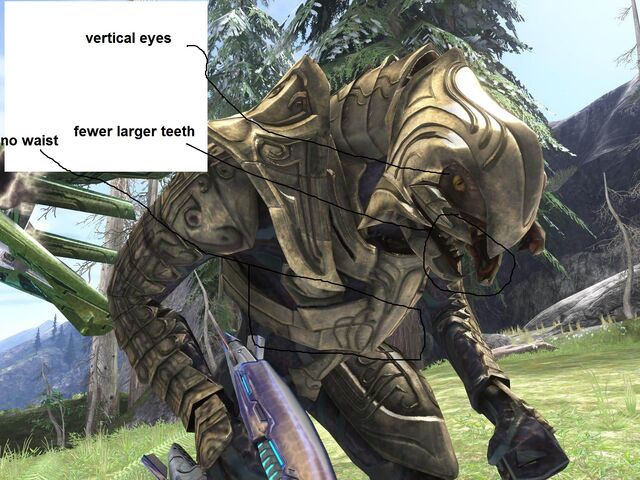 File:Arbiter the second.jpg