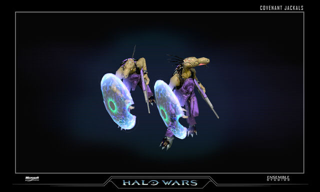 File:Jackals.jpg