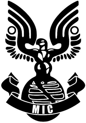 File:UNSC MIC.jpg