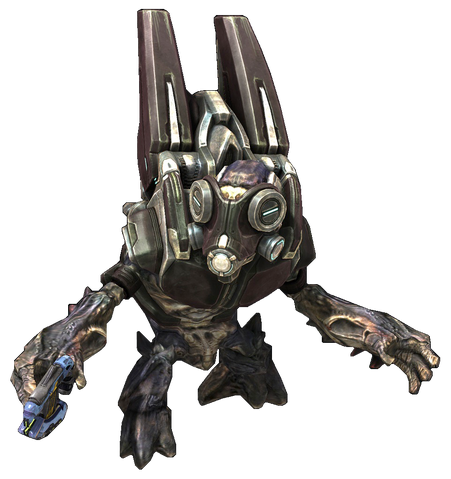File:HReach - SpecOps Unggoy.png