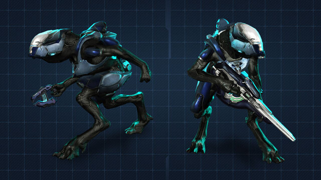 File:Jackle ranger.jpeg