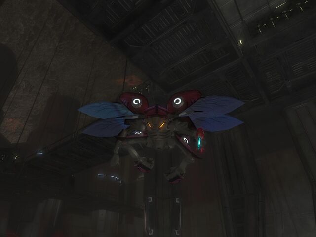 File:DroneLeader.jpg