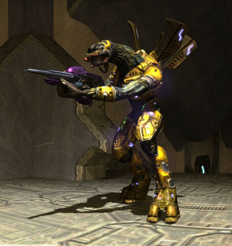 File:Elite Heretic con carabina.jpg
