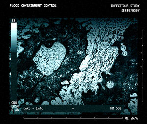 Slide Ref070107