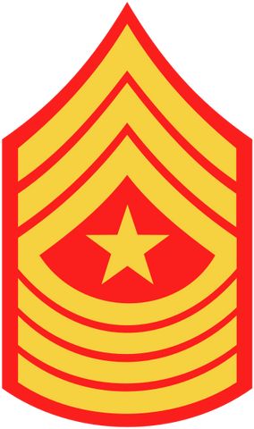 File:355px-USMC-E9-SGM.png