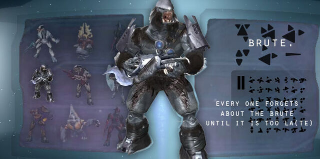 File:Brute Profile.jpg