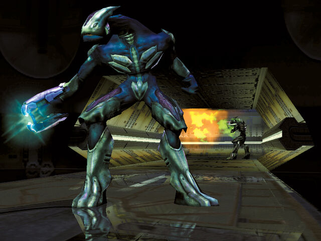 File:Halo992.jpg