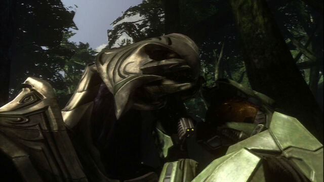 File:Arbiter Jungle2.jpg