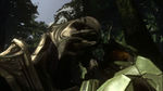 Arbiter Jungle2.jpg