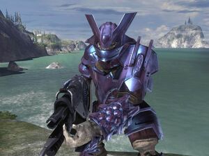 Brute Capitano Minore