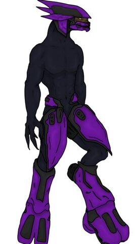File:Eliteanatomy.jpg