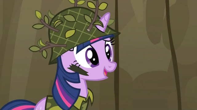 File:Twilight Sparkle camouflage.png