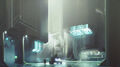 Thumbnail for version as of 15:29, April 12, 2013