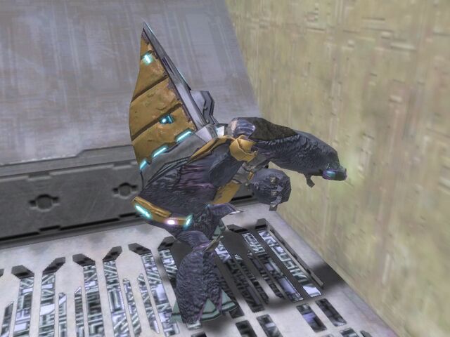 File:Cowardly Grunt.jpg