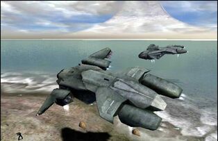 Pelican 2.jpg