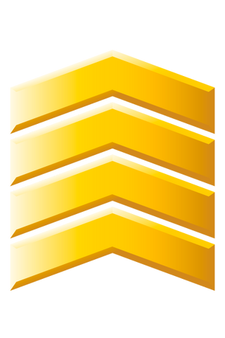 File:Gunnery Sergeant.png