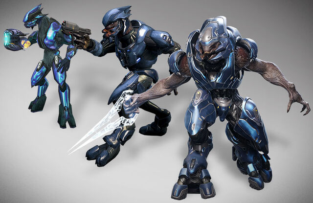 Arquivo:Halo-5-elites.jpg