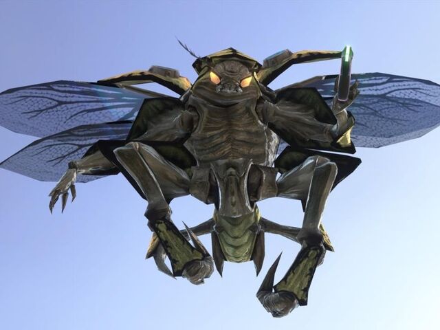 File:Drone Halo3-1934538.jpg