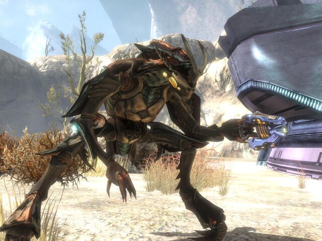File:ReachRedShell.jpg
